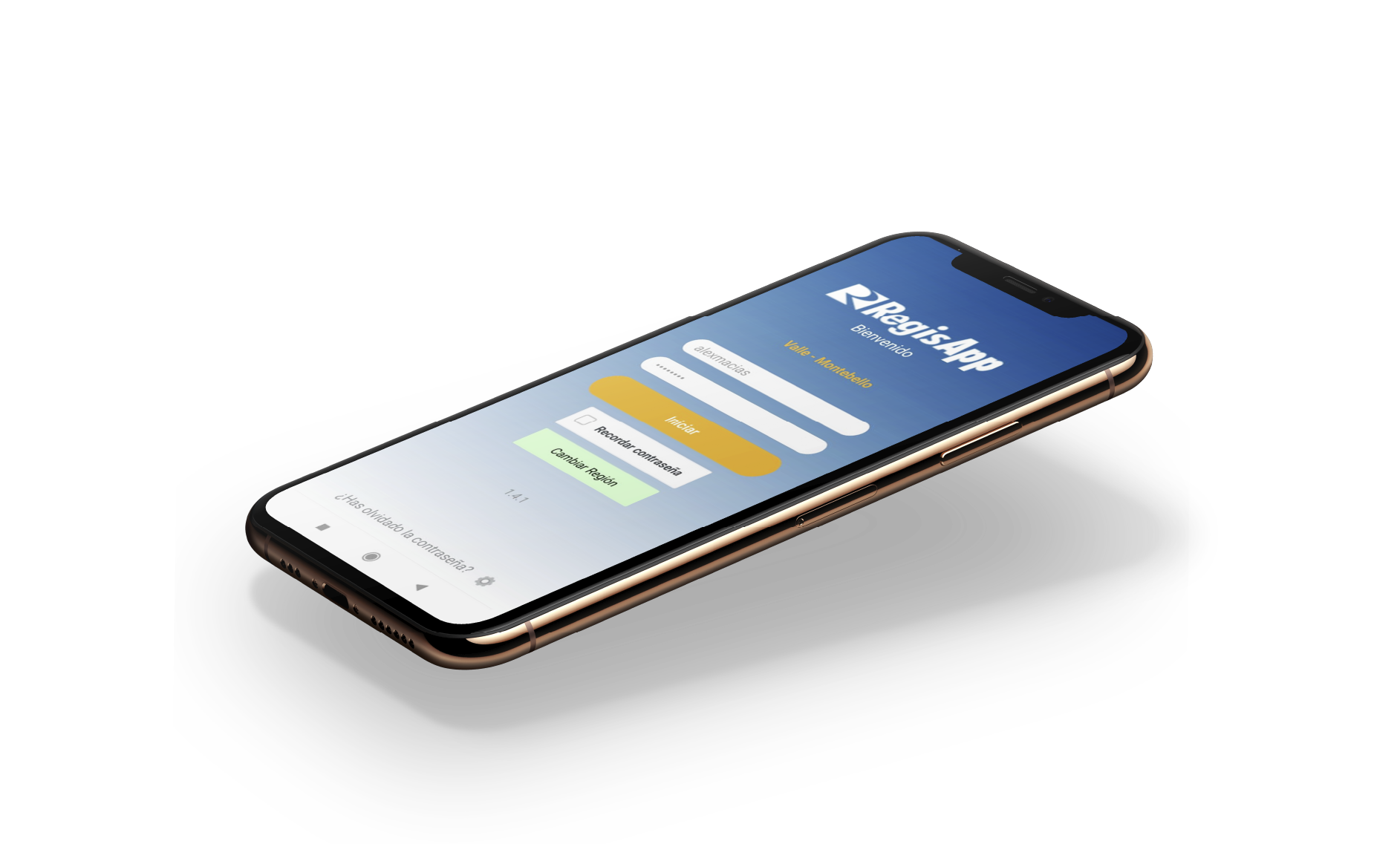 imagen de reguisdata